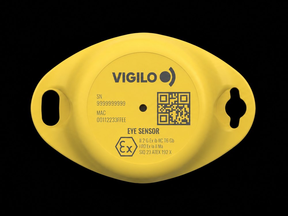 Sensor ATEX